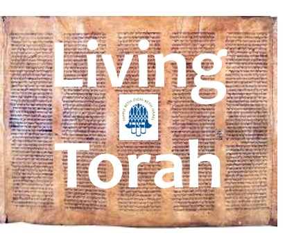 Living Torah: Jewish Texts on Tough Topics