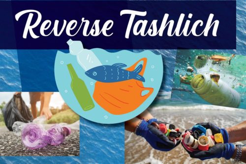 Tikkun HaYam and BZBI invite you to participate in Reverse Tashlich