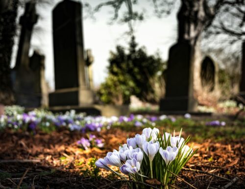 Dust to Dust: Alternative Burial in the Jewish Tradition 