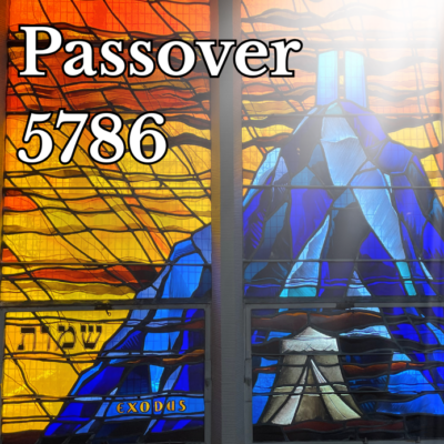 Second Seder at BZBI